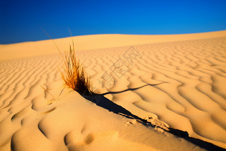 户外沙漠的沙子背景图片