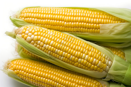 新鲜的玉米背景图片