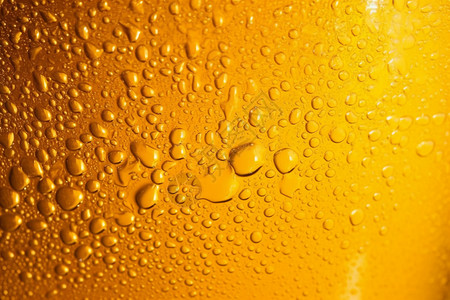玻璃杯黄色啤酒清凉的啤酒设计图片