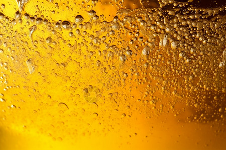 玻璃杯黄色啤酒凉爽的啤酒设计图片