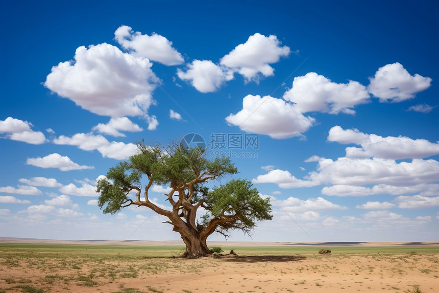 沙漠中的蓝天白云图片