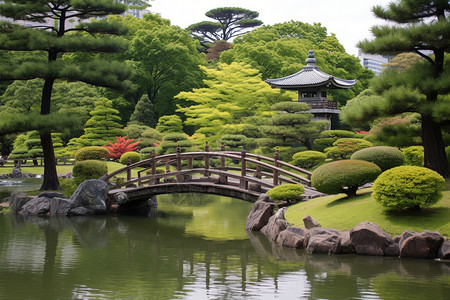 岩石花园日本岩石花园高清图片