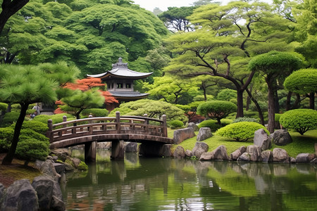 日本花园日本岩石花园高清图片