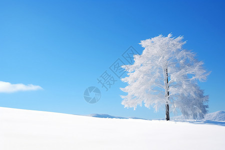 广阔的雪原图片