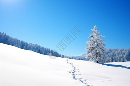 白茫茫的雪原背景图片