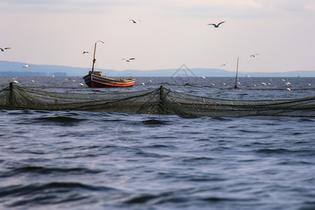 捕鱼的渔网图片