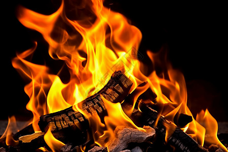 果木炭燃烧的火焰设计图片