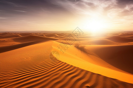 高温的沙漠背景图片