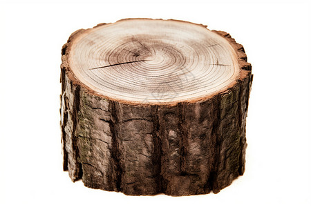 一个木桩木材木材的树桩高清图片