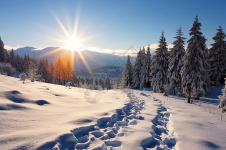 雪山上的太阳图片