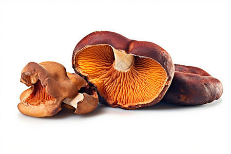新鲜的美味菌菇背景图片