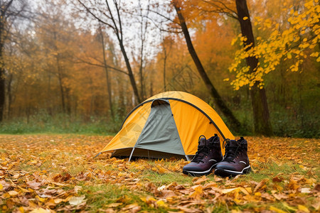 秋季森林露营度假图片