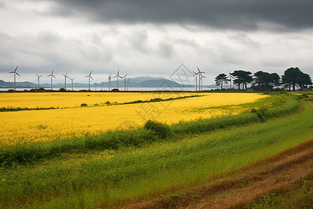 乡村的风力发电农场图片