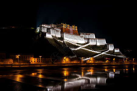 夜晚的布达拉宫背景图片