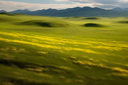 平原山广袤的草原设计图片