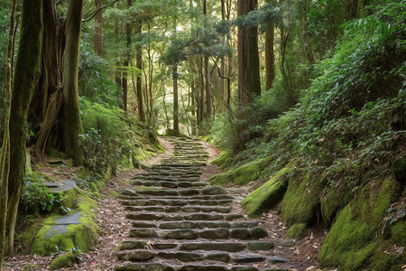 阶梯梯子上山的阶梯背景