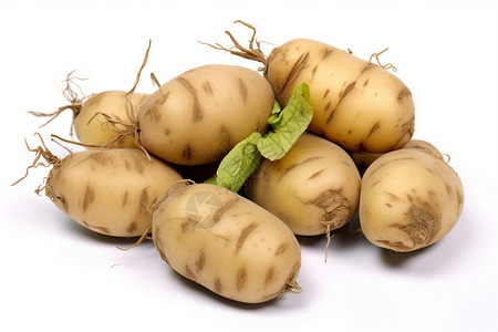 分蘖健康马铃薯块茎背景