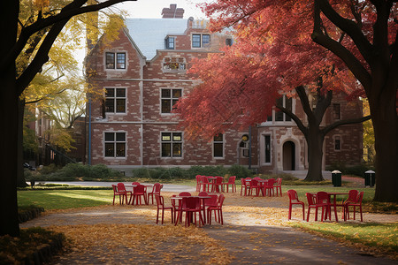 哈佛秋天时分下的校园背景