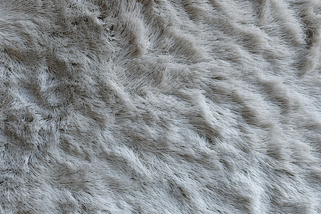 一款灰色毛绒绒地毯高清图片
