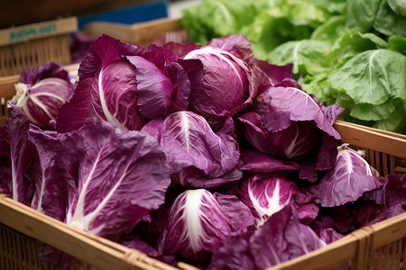 一筐紫色的菜品高清图片