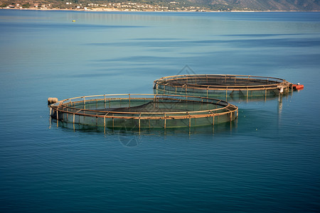 海洋中水产养殖的设备背景图片