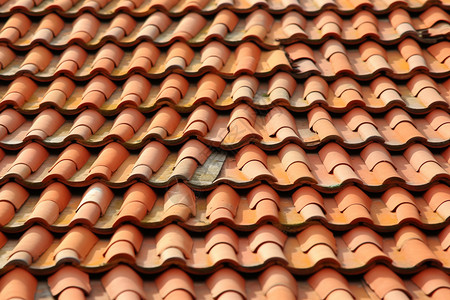 红色的屋顶瓷砖背景图片