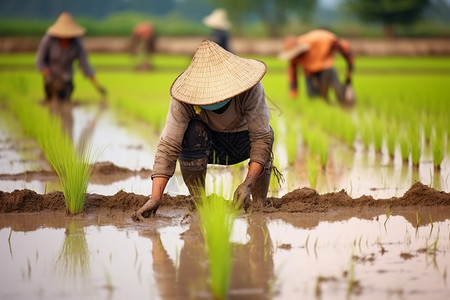种田的农民农村劳动力高清图片