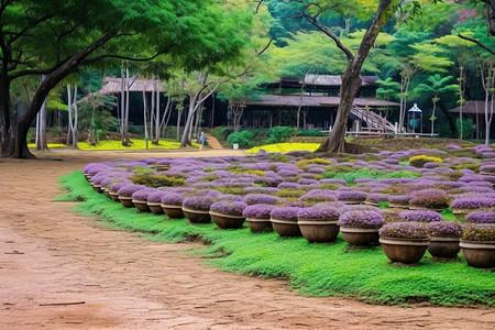 园林美化生态化的园林背景