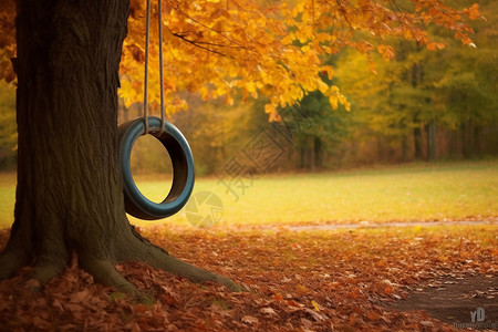 挂着树上的轮胎秋千图片