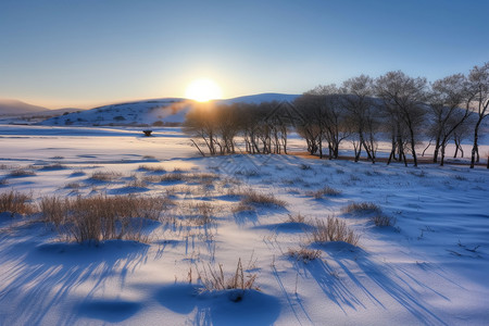 草原雪景图片