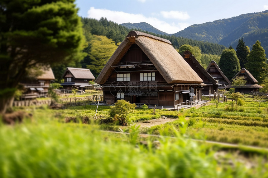 传统的木屋图片