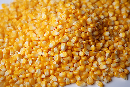 金灿灿的玉米粒背景图片