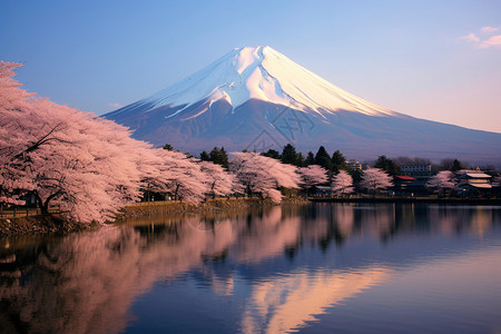 暖粉色调背景粉色调的日本风景背景