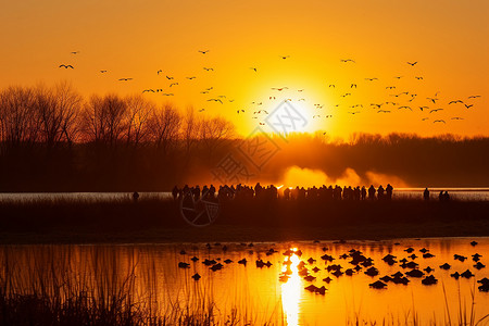 日落时美丽的风景和鸟群图片
