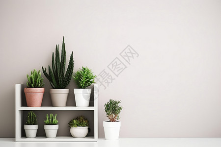 室内植物盆栽装饰背景图片