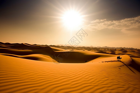 沙漠烈日骆驼在沙漠里行走背景