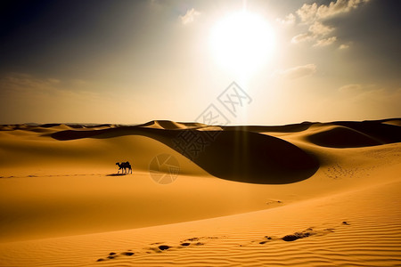 沙漠烈日一望无际的沙漠背景