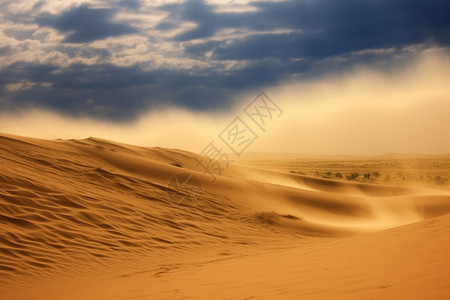 气候干燥干燥的沙漠景观背景