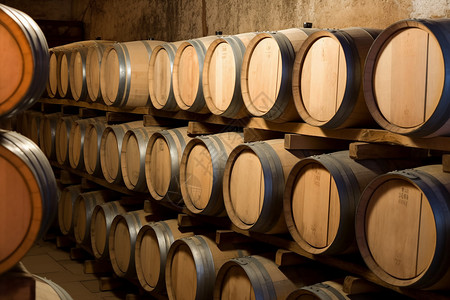 未经发酵的葡萄酒发酵工具设计图片