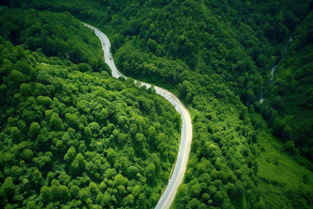 山林中曲折的小路背景图片