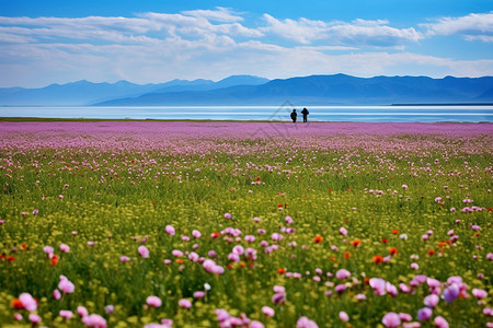 伊犁草原新疆伊犁旅游欣赏自然风光背景