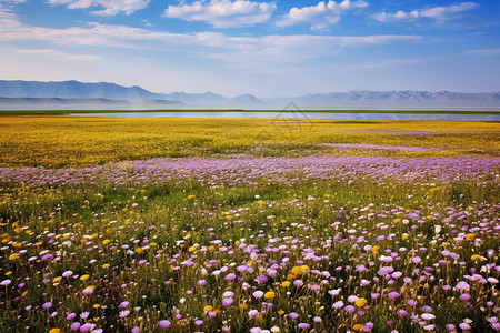 新疆伊犁自然美景图片
