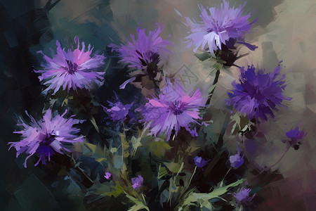紫色野花插图图片