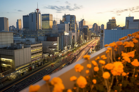 夕阳中的城市图片