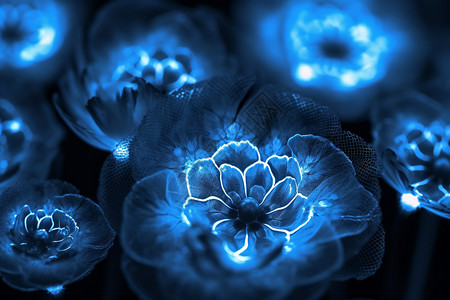 创意发光蓝色花朵背景图片