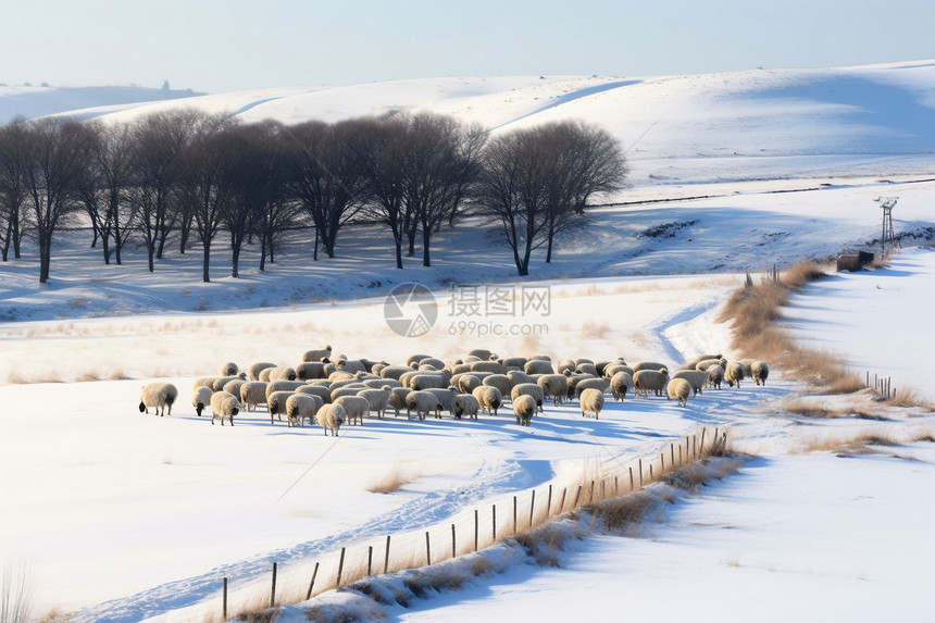 冬季乌兰布通的美丽景观图片