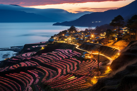 七彩花田旅游出行景区背景