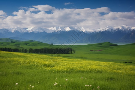 多风天气素材蓝天白云的天气背景