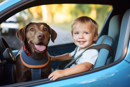能载婴儿和宠物的汽车高清图片