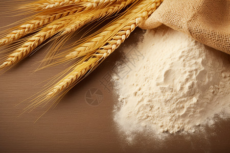 小麦淀粉食材图片